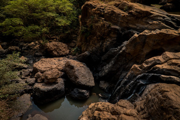 Waterfall and Trees