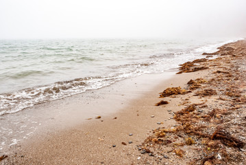 Sandy seashore. Fog.