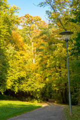 Public city park with its path for people walking, jogging, hiking or biking with tall trees changing colors during the begining of the autumn season.