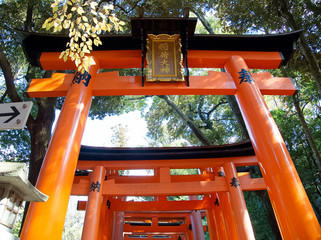 Japan Kyoto old town Fushimi-Inari shrine