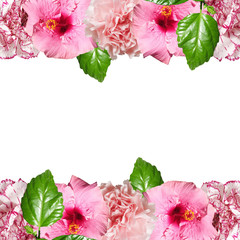 Beautiful floral background of hibiscus and carnations. Isolated