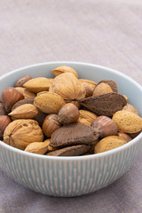 Mixed nuts, including almonds, hazelnuts, walnuts and Brazil nuts, in shells in a bowl.  Grey cloth background