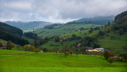 Fototapeta premium Nebeliger Herbsttag im schwarzwald nahe Freiamt