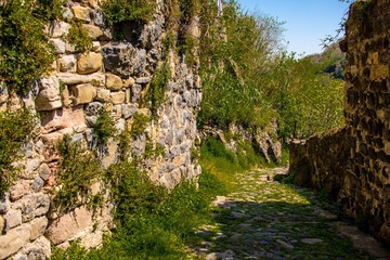 Pared de piedra cubierta por las malas hierbas