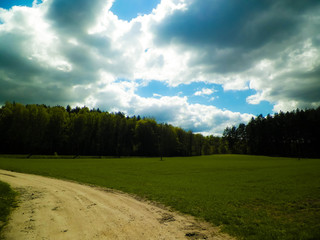 Forest and meadows - Beauty of Kashubia, Poland.