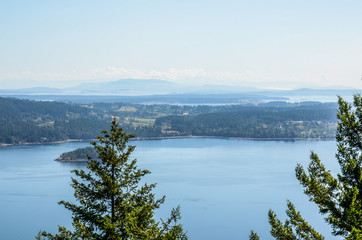 Maple bay, ile de vancouver en colombie britannique, canada