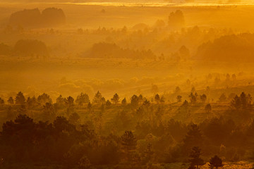 Sunrise with orange colors, mist and trees