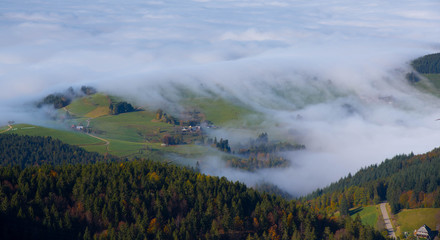 Blick vom Schauinsland auf den Nebel in der Rheinebene © Tanja Voigt 