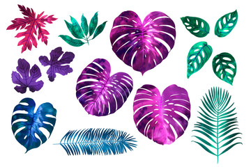 Tropical leaves neon watercolor. Fan palm. Bright pink, turquoise, blue, purple colors.
