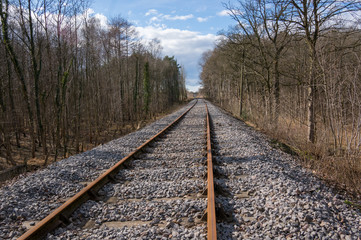 Fototapeta premium Railway Tracks into a Wood