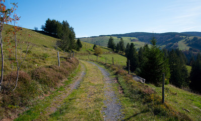 Fototapeta na wymiar Schwarzwaldlandschaft nahe des Schauinsland