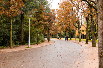 Naklejka premium alley in the park