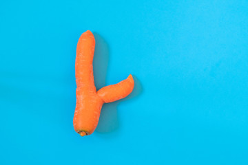 Ugly imperfect carrot on blue background. Image with copy space, top view