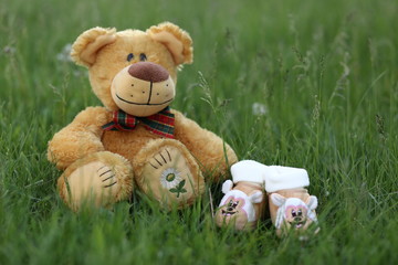 teddy bear on grass
