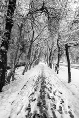snow-covered alley in the city with footprints in the snow