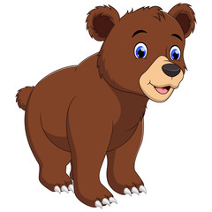 A brown bear isolated on white background