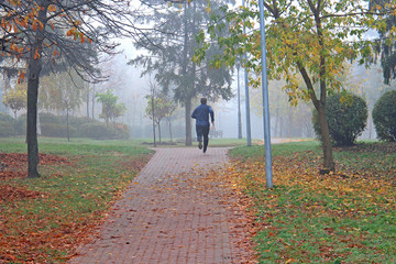Obraz premium bright autumn colors in the morning park