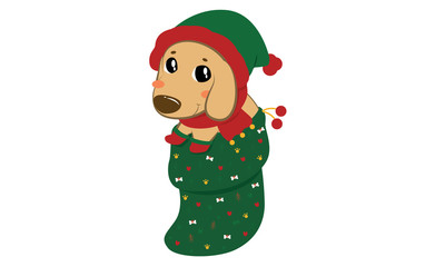 Dashun dogs  cartoon vector in christmas concept