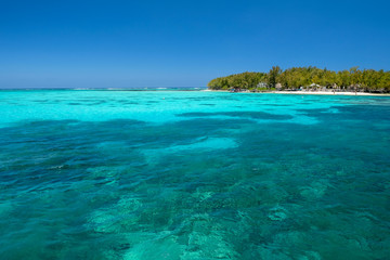 Fototapeta na wymiar Eau turquoise et ile paradisiaque, Blue Bay, ile Maurice