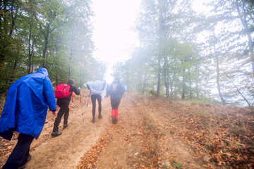 Healthy Lifestyle People Hiking In Nature