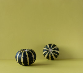 Green striped pumpkins on colored background. Front view.