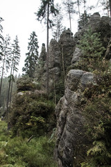 Aderspach-Teplice Rocks, deep wild forest 