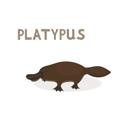 Vector illustration, a cartoon platypus, isolated on a white background. Animal alphabet.