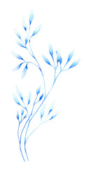 Fototapeta na wymiar Stylized blue monochrome leafed branch, herb hand drawn in watercolor isolated on a white background. Winter watercolor illustration. Fantasy winter plant. Winter design. Abstract plant