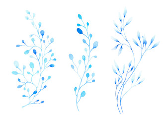Set of stylized blue branches, herbs hand drawn in watercolor isolated on a white background. Winter watercolor illustration. Fantasy winter plants. Winter design. Abstract plants