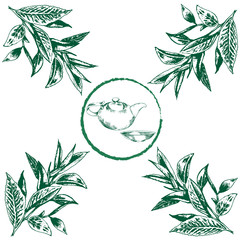 Hand drawn branchs of tea leaves with emblem. Vintage engraving plantfor print, card, wrapping, menu. Vector illustration. EPS 10