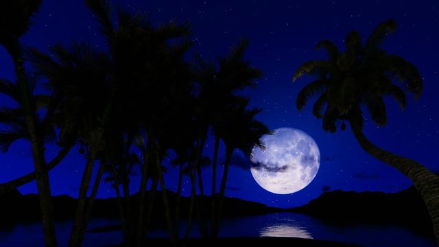 Full moon reflecting on water surface against starry sky and palm trees, camera flight hd