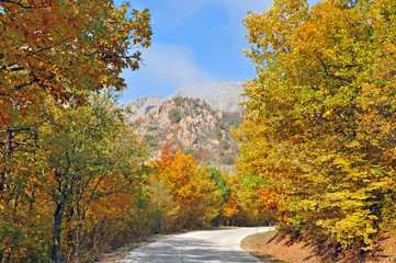 Mountain landscape golden autumn forest