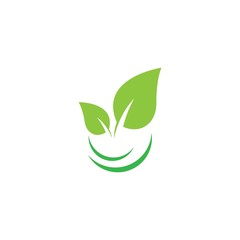 Leaf logo template vector icon