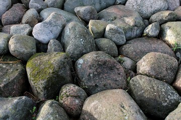 sea stones