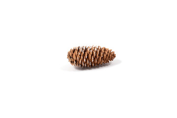 Christmas concept. Fir cone strewn with snow isolated on white background.