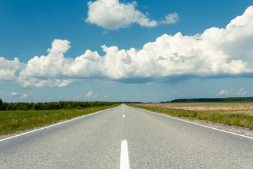 An empty country road through the green fields on a sunny summer day. Forest in the background. Blue sky with white storm clouds. Russia. Horizon in the middle of the frame