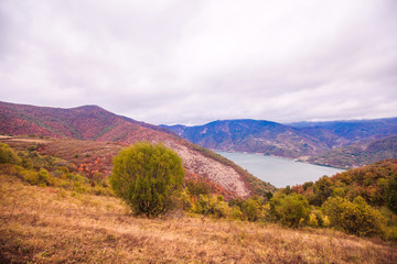 Amazing view on Danube river Serbia