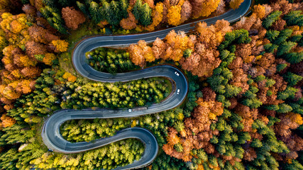 Perfect aerial view of winding forest road in the mountains. Colourful landscape with rural road, trees with yellow leaves. - obrazy, fototapety, plakaty