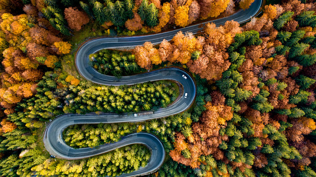 Perfect aerial view of winding forest road in the mountains. Colourful landscape with rural road, trees with yellow leaves.