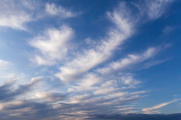 Fototapeta premium blue sky with white clouds