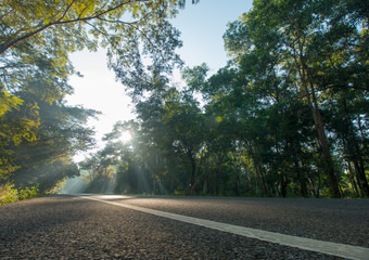 Obraz premium landscape view. the road on morning and sunrise