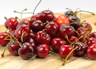 Süßkirschen, Vogelkirschen, Prunus avium