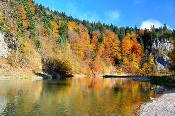 Fototapeta premium Autumn landscape including Dunajec river in Pieniny national park