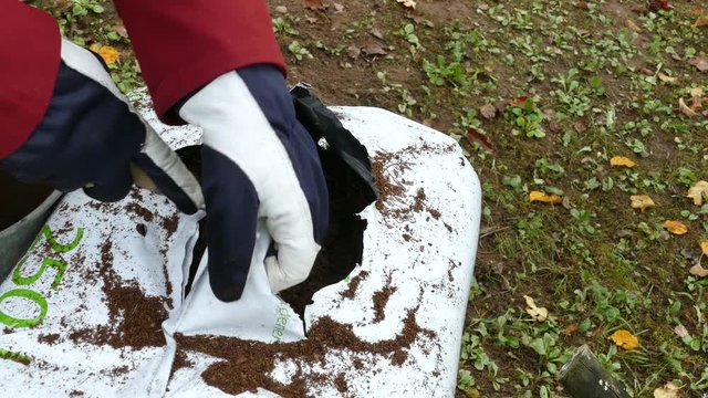 Gardener gets soil from open white plastic bag of peat