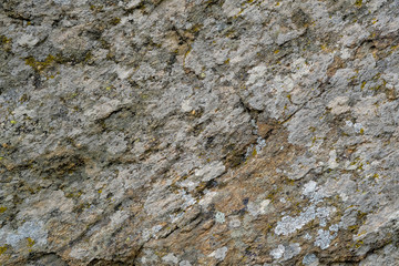 View on big old stone with natural moss. Gray wild stones background with copy space. Сlean...