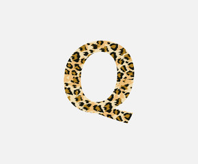 Letter Q Leopard Letter Icon , Wild life animal letter Q Cheetah Letter Icon. Animal Design Concept.