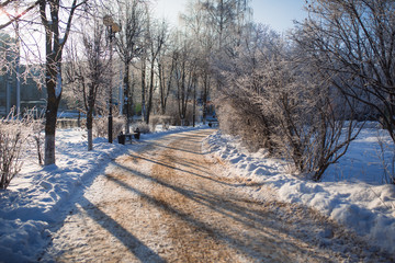 Snow-covered alley in the Park on a frosty winter day. People walk on a snowy road in the Park, the snow sparkles in the sun