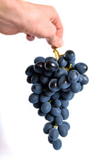 Black grapes with drop of water isolated on white background