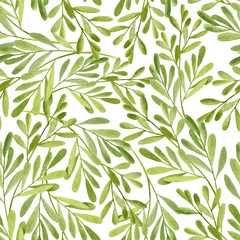 Wallpaper murals Watercolor leaves Watercolor tea tree leaves seamless pattern. Hand drawn illustration of Melaleuca. Green medicinal plant isolated on white background. Herbs for cosmetics, package, textile, cards, decoration