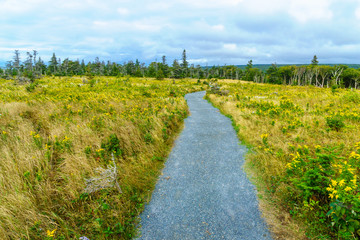 Skyline trail, in Cape Breton Highlands National Park